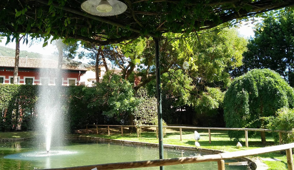 Carousel image 11